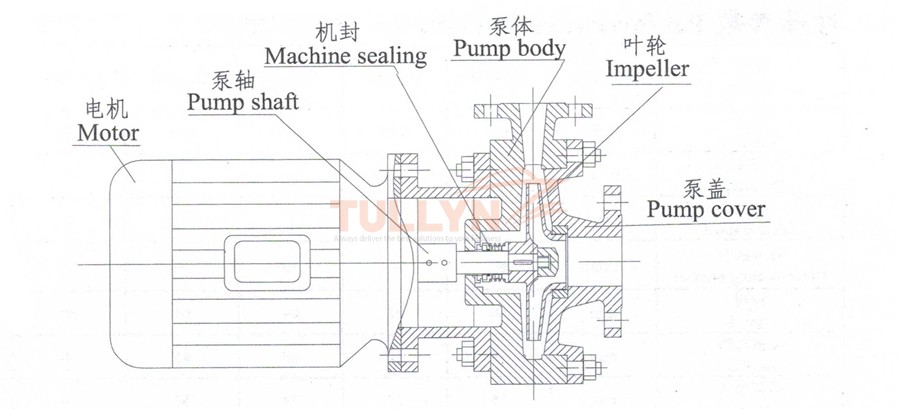 DNW Type Marine horizontal condensate pump Drawing