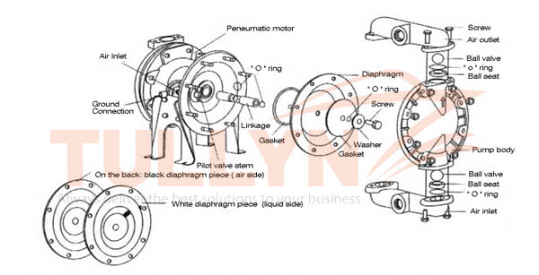 QBY Mining Slurry Transfer Pneumatic Diaphragm Pump Construction