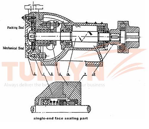W Series Single Level Cantilever Vortex Water Pump Construction