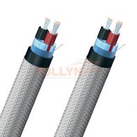 TPYCSLA Armored and Screened Lighting Cable