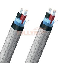 TPYCSLA Armored and Screened Lighting Cable