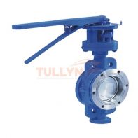 Wafer hard seal butterfly valve