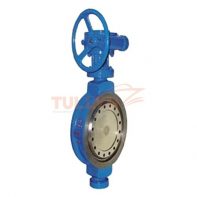 Worm Gear Hard Seal Butterfly Valve