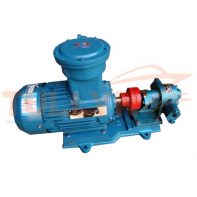 2CG Series Hard-tooth Surface Residue Oil Pump