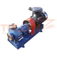 RY Series Thermal Oil Lubrication Pump