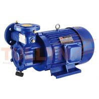 W Series Single Level Cantilever Vortex Water Pump